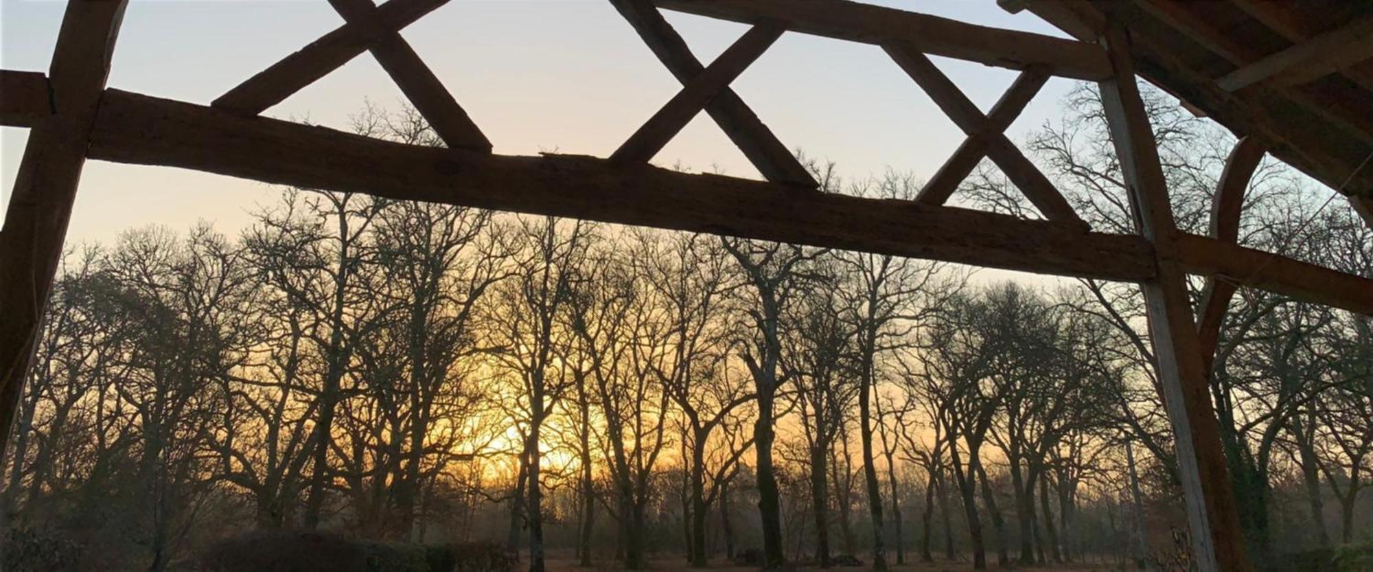 L Emeraude Landaise Allons  Exteriér fotografie